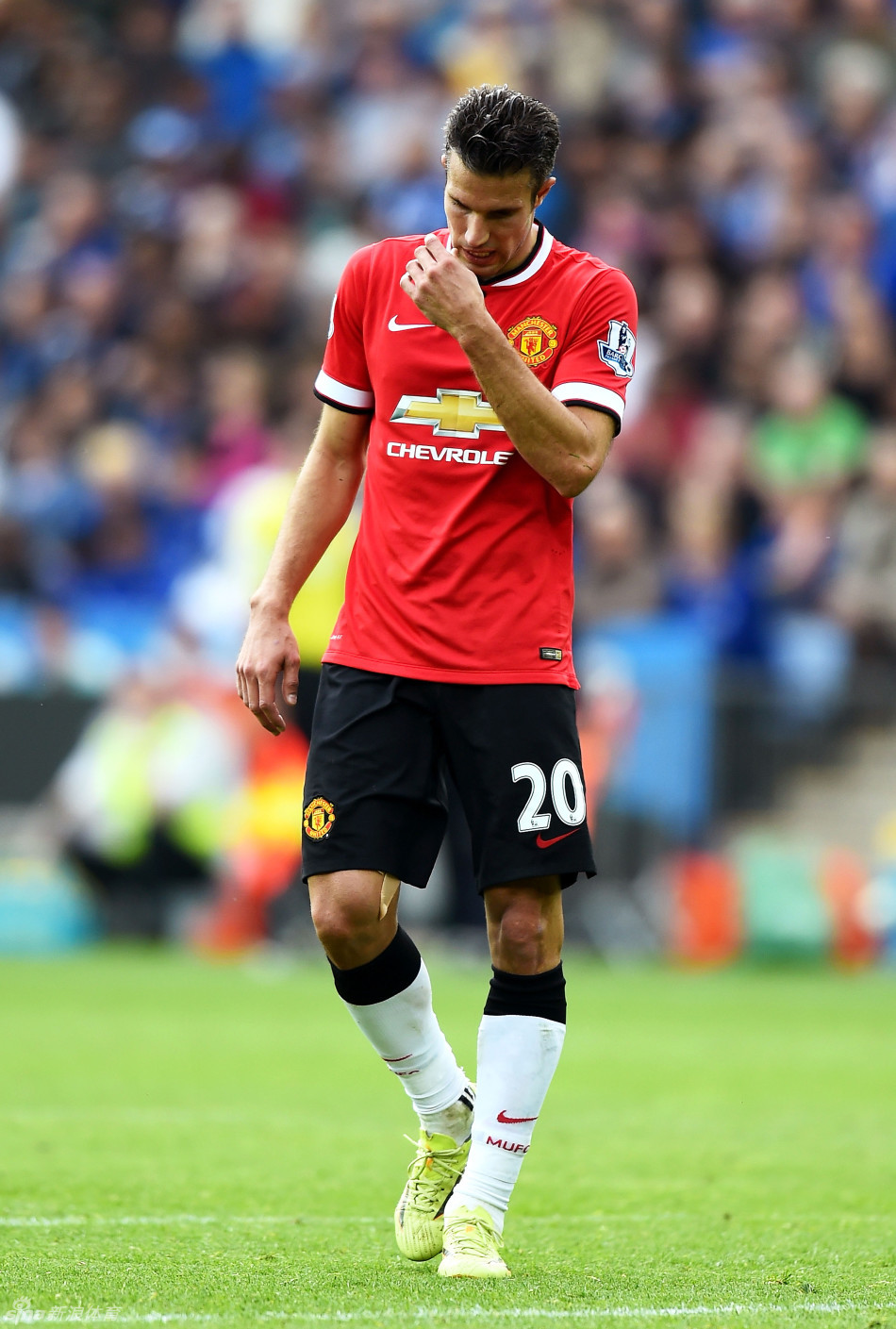 黄蜂新人连续高光表现（黄蜂新秀连场闪耀）